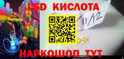 гидра Будённовск