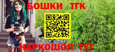 гидра Будённовск