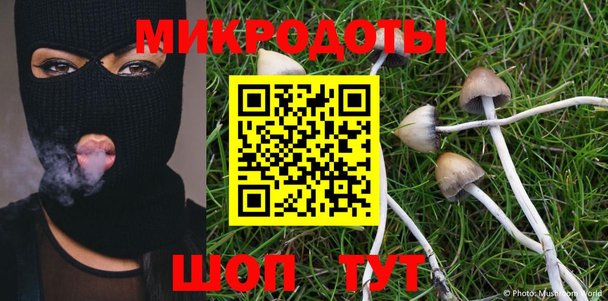 Галлюциногенные грибы Psilocybine cubensis Нижний Новгород