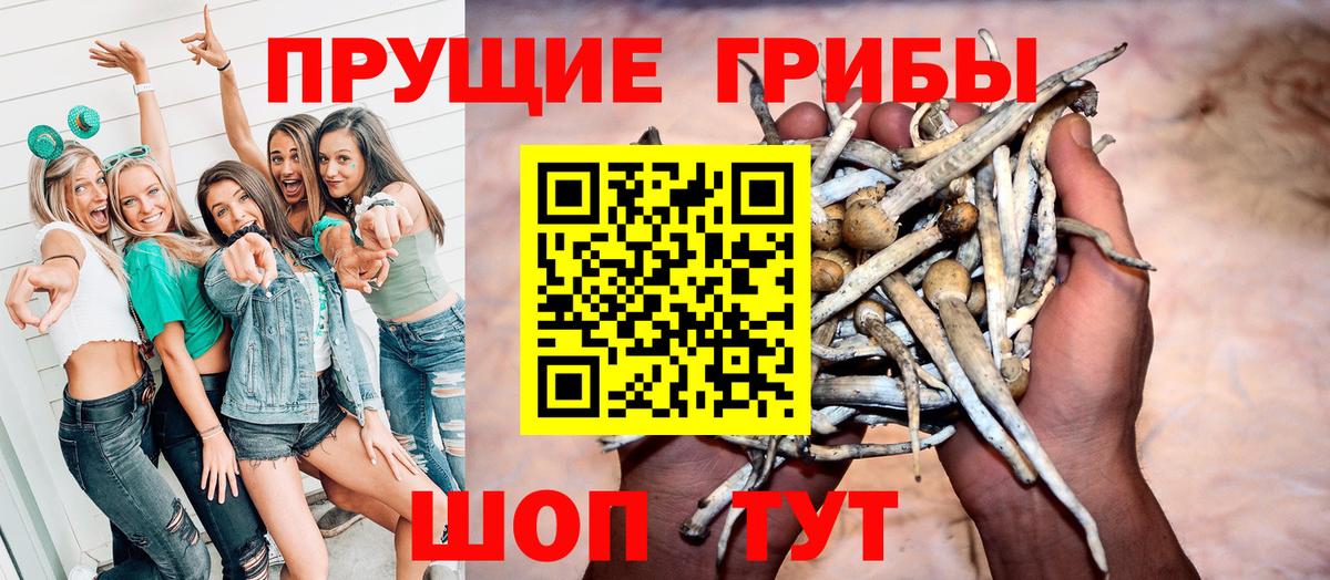 Галлюциногенные грибы мицелий  Вход с VPN  наркота  Нижний Новгород  Псилоцибиновые грибы мицелий 